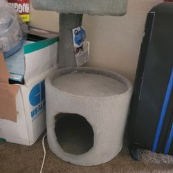 New Cat Tree