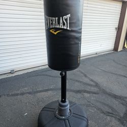 Stand Up Punching Bag