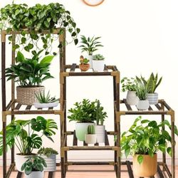 Plant Stand Indoor 
