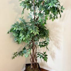 7’ NEW Fake Plant!