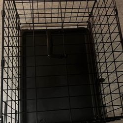 Dog cage 