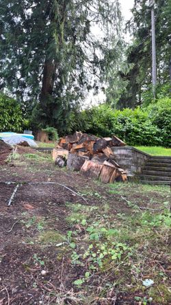 Fire Wood Selling