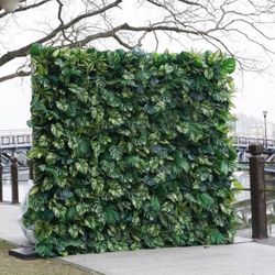 Flower Wall (Leaves) - Daily | 8x8ft (Delivery + Setup)