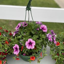 Floral Arrangements