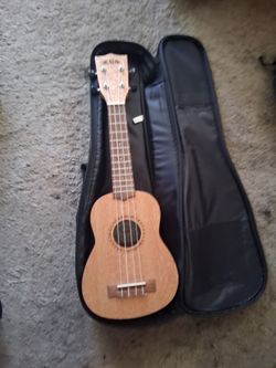 Kala Burled Meranti Series Ukulele