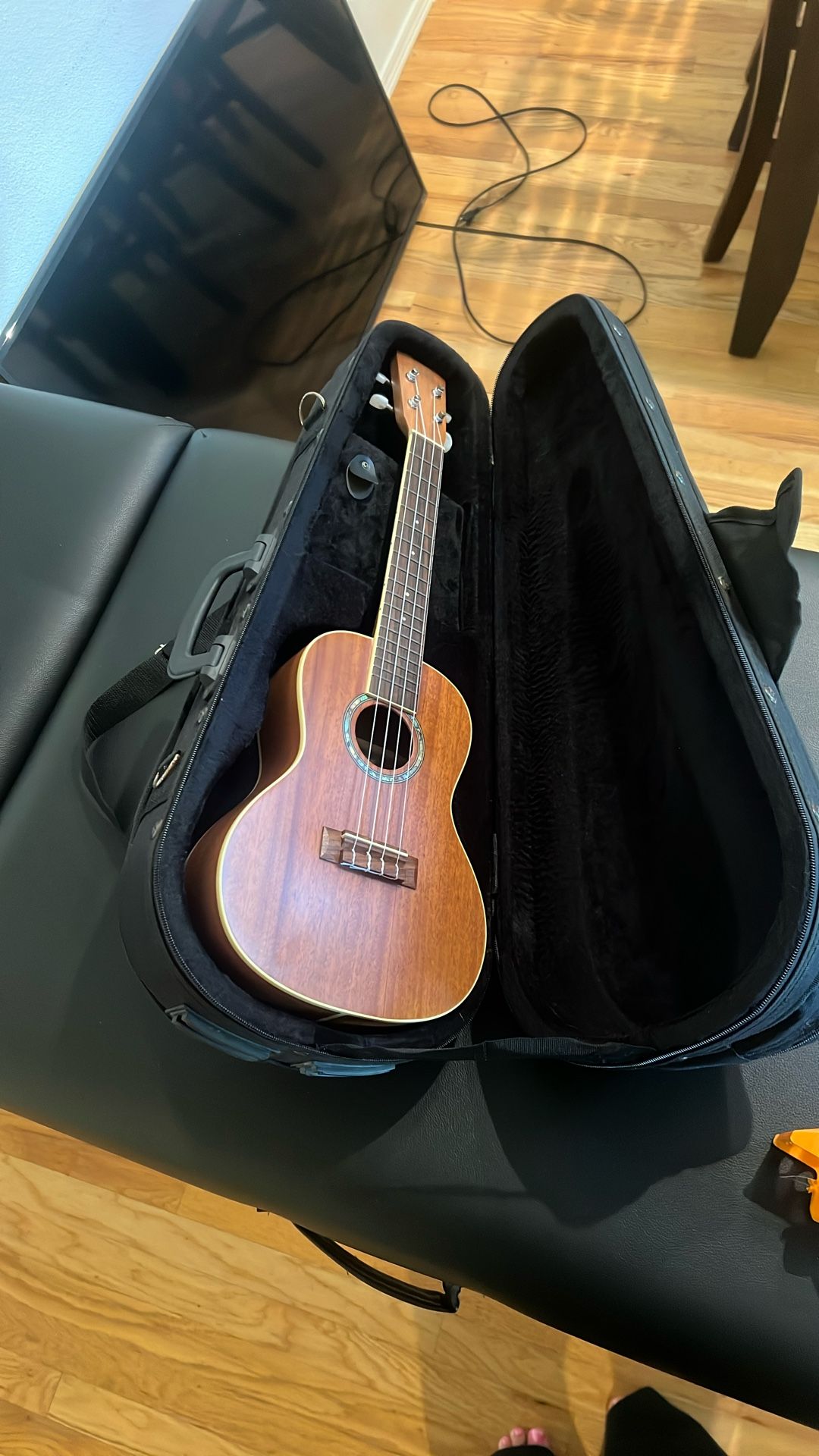 Ukulele With Case