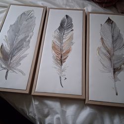 Brand New Feather Print Wall Pictures.