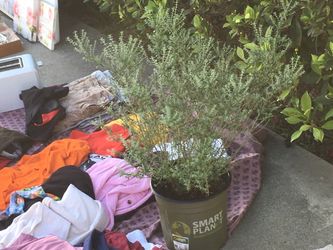 FREE CURB ALERT-please read