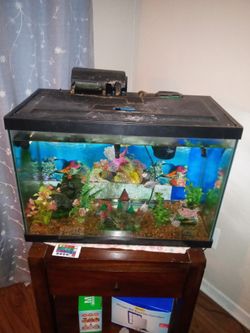 Pecera De 20 Galones Con Dos Filtros Dos Pompas De Oxígeno Caja De Filtros Y Liquido Para El Agua Y Con 7 Fish  Todo Por $80