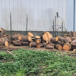 Free firewood