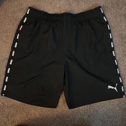  Men’s Large Puma Activewear shorts in black, with pockets and drawstrings. Never worn, with tag