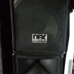 15" Professional Audio Passive Speakers 