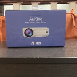 Projector
