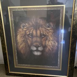 Beautiful, Huge lion picture