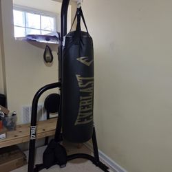 Everlast punching bag