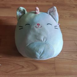 Pascal rainbow caticorn squishmallow 8”