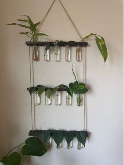 Plant- clippings