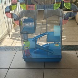 Hamsters 🐹 cage (Haula de hamster🐹)
