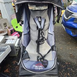 Big Kid ( Or Young Adult) Stroller