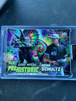 Noah Schultz Dino-Might Prehistoric 1/3 Wild Card