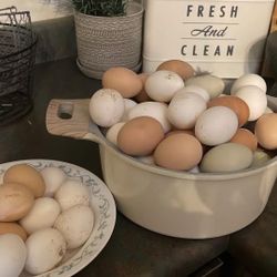 Nest Run Chicken Eggs