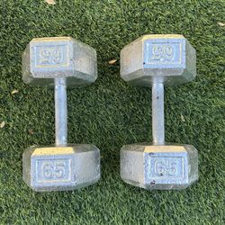 65 Lb Dumbell Weights Set