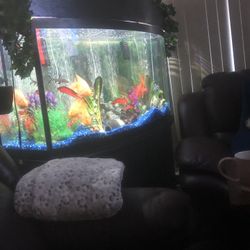 72 Gallon Fish Tank No Leaks 
