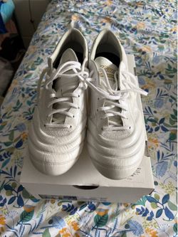 Mizuno Morelia