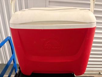 Cooler