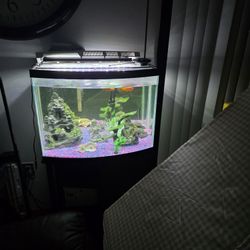 36 Galloon Aquarium and Stand Combo