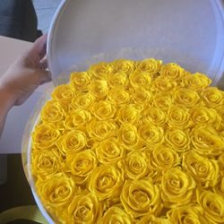 Valentines Gift Roses