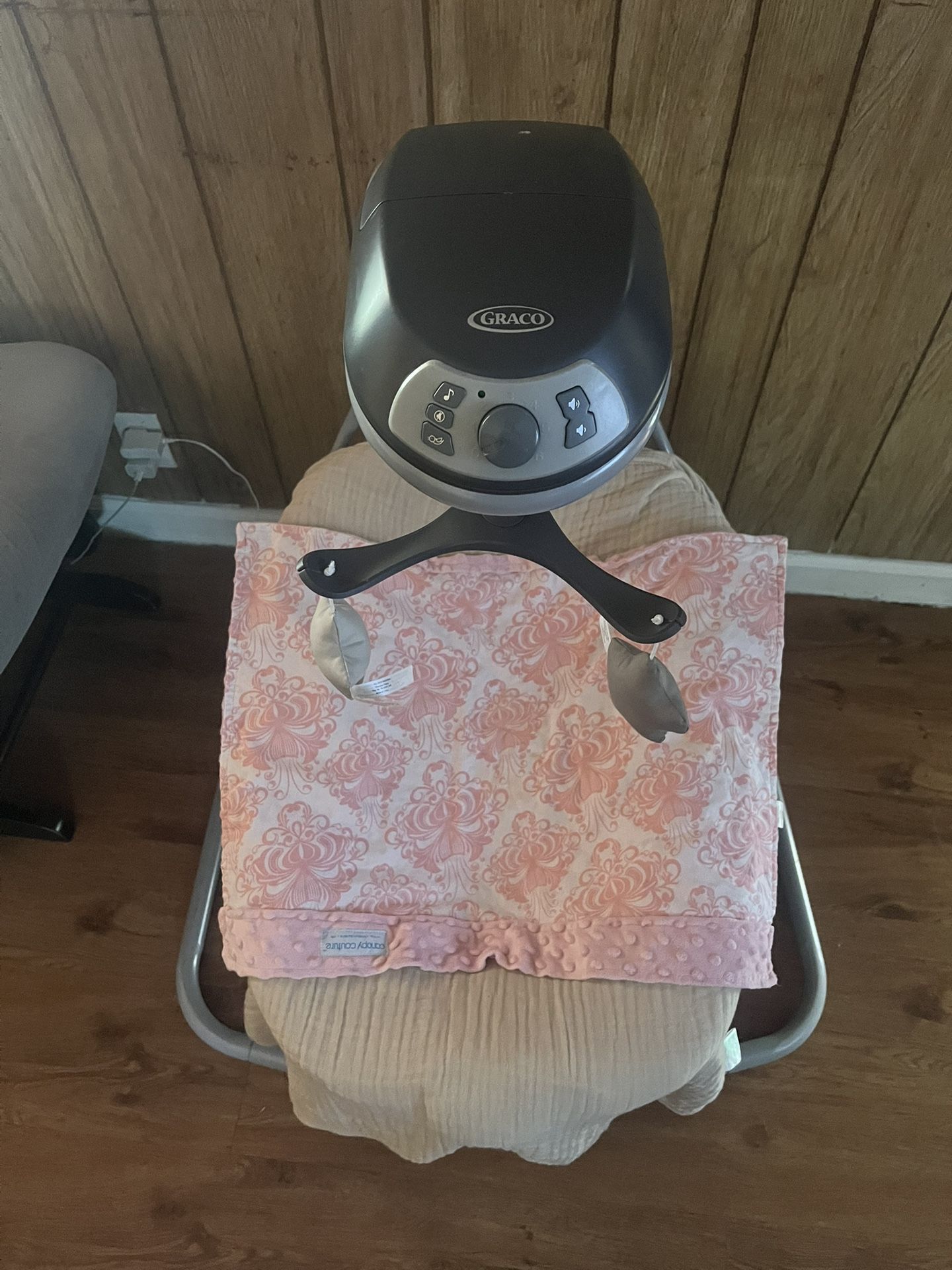 Graco Baby Swing