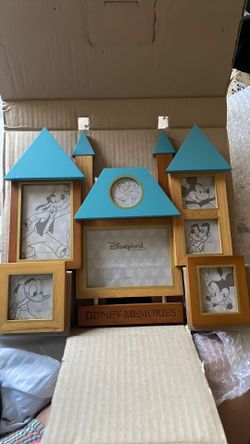 Disneyland gorgeous frame brand new