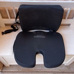 Seat And Back Cushion