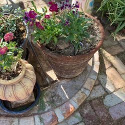 Roses,different Flowers And Plants.cactus,15 Dos. Each.