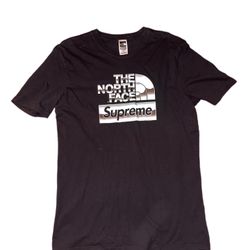 Supreme The North Face Metallic Logo
