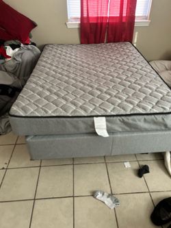 Brand new bed