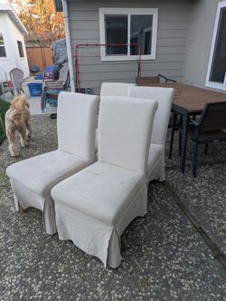 Free! Four dining chairs with removable covers