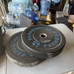 Plate Weights (2.5lbs - 45lbs)