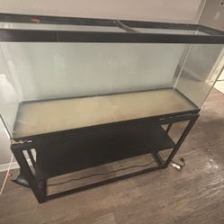 55 Gallon fish tank