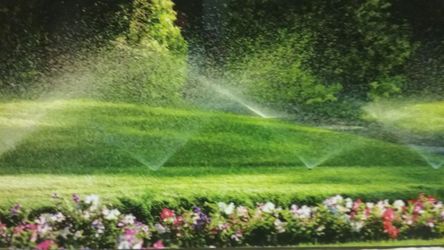 Servicio de jardineria