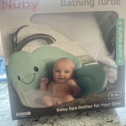 Bathing Turtle 