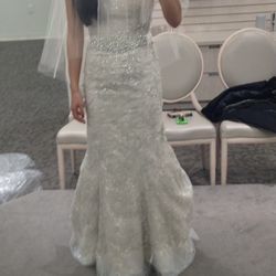 Wedding Dress And Veil And Underskirt