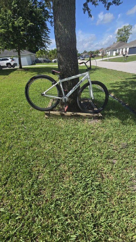 Big Flyer Se Bike 29 inch