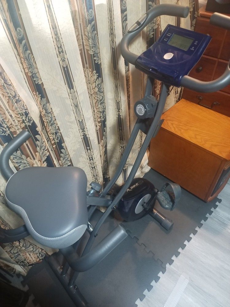 Leike exercise X bike