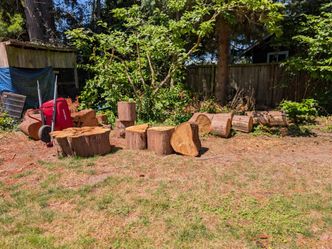 Cedar rounds
