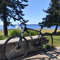  Giant ATX bicycle