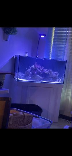 50 Gallon Fish Tank