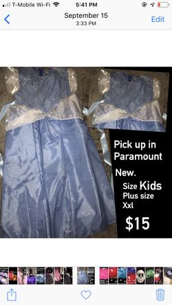 Cinderella dress costume
