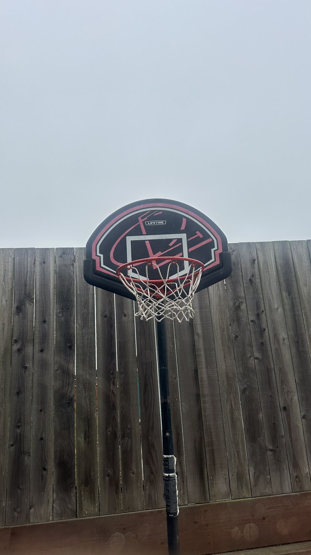 Lifetime Basketball Hoop